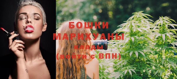 шишки Переславль-Залесский