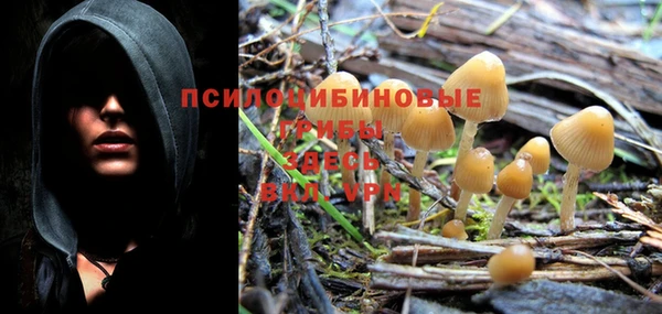 эйфоретик Грязи
