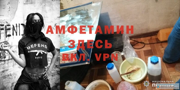 молекула духа Пестово