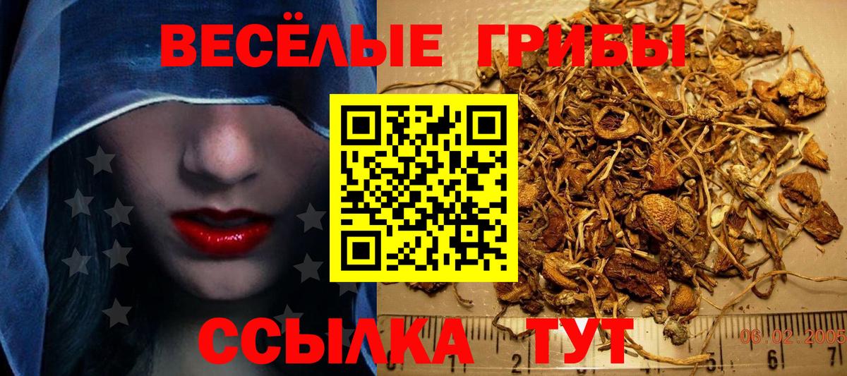 Псилоцибиновые грибы ЛСД  Вход с VPN  Сафоново 