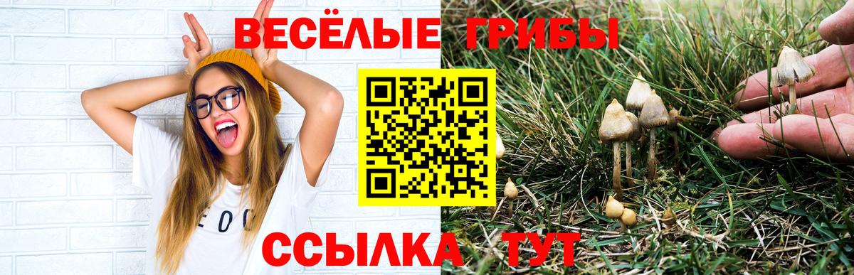 Галлюциногенные грибы Magic Shrooms Сафоново
