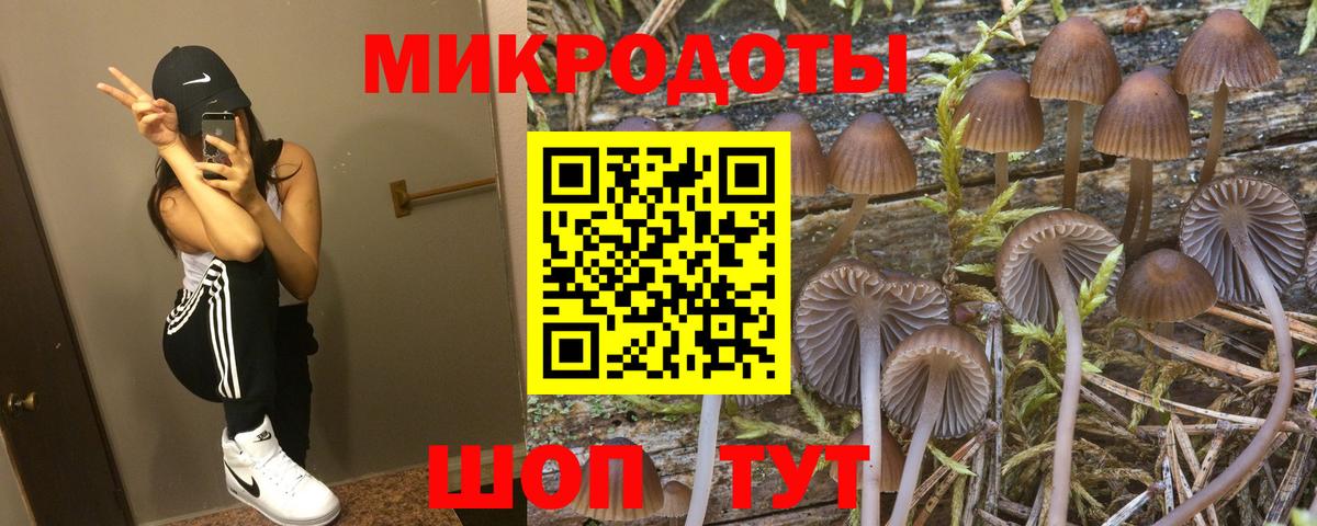 Псилоцибиновые грибы мухоморы Сафоново