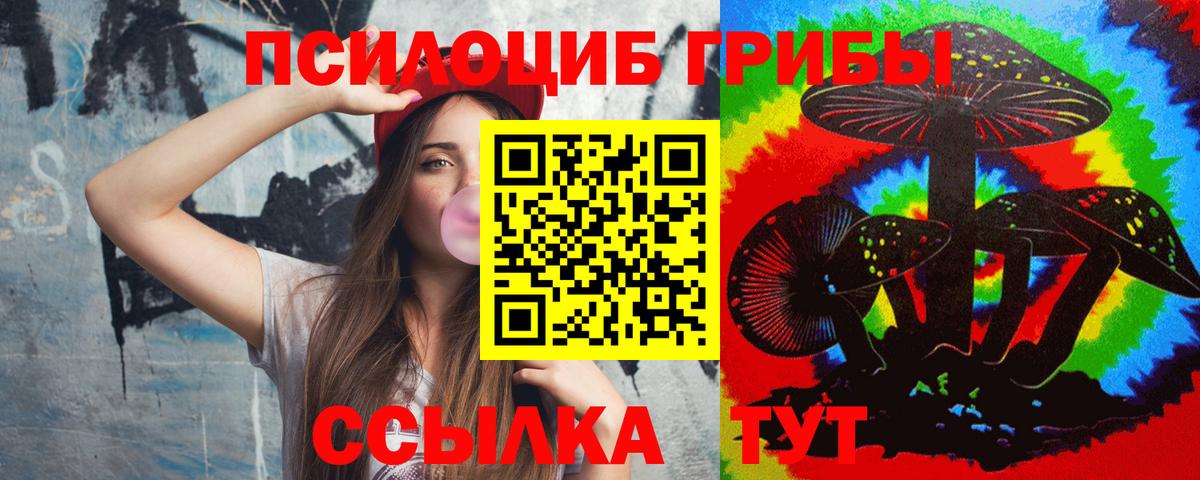 Сафоново  Псилоцибиновые грибы прущие грибы  купить наркоту  Вход с VPN 