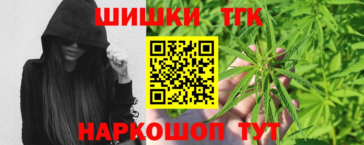 Конопля сатива Сафоново